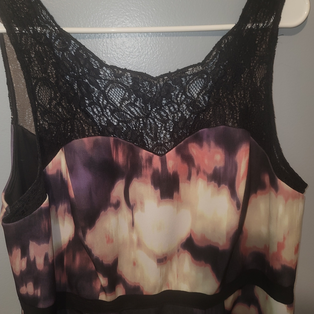 Adrianna Papell Lovely Black and Pink Dress